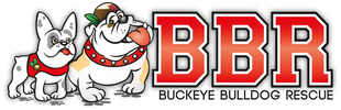 Buckeye Bulldog Rescue - Home